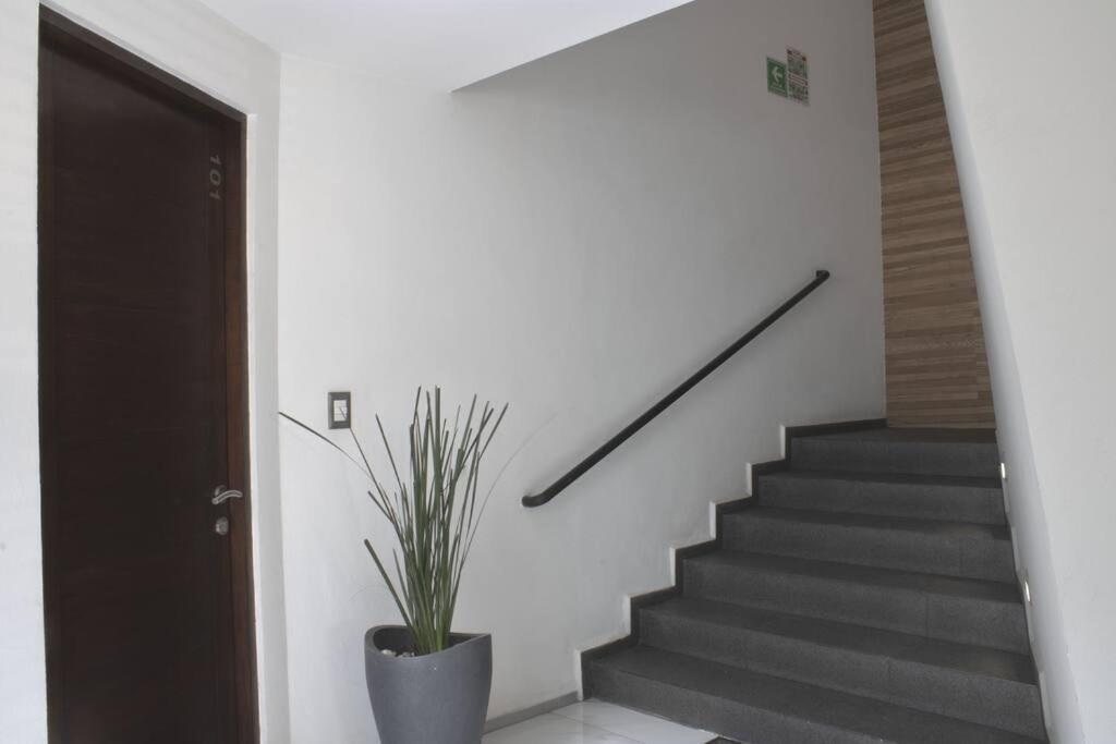 Apartment Moderno Departamento En El Corazon De La Roma
